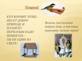 Всероссийская акция "Покормите птиц зимой - 2023" Всероссийская акция "Покормите птиц зимой - 2023".